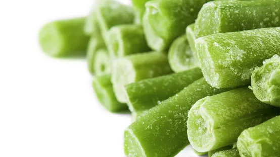 qualidade dos alimentos criogenicos