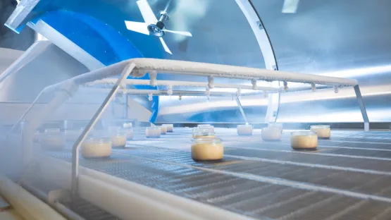 Linha de produção de criogenia alimentar