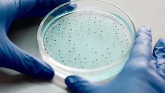 Gases farmacêuticos PHARGALIS Air Liquide