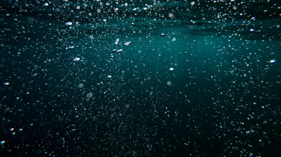 Descubra o Tratamento Biológico de Águas