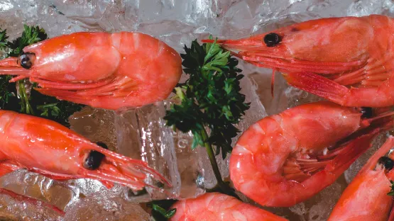 Conservation des crustacés et poissons