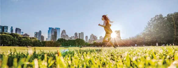 Ações para o clima 