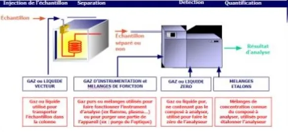 O princípio da cromatografia gasosa