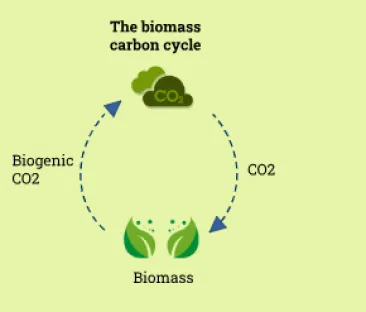 SWE_ECO ORIGIN CO2