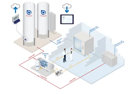 lyophilisation schema