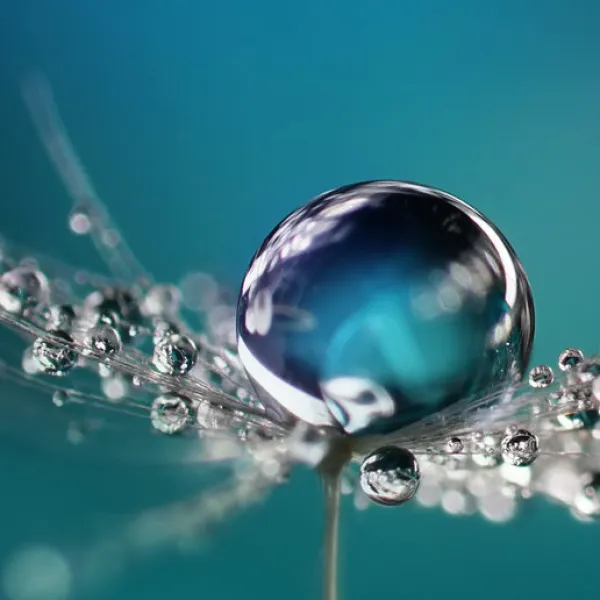 Environnement durable