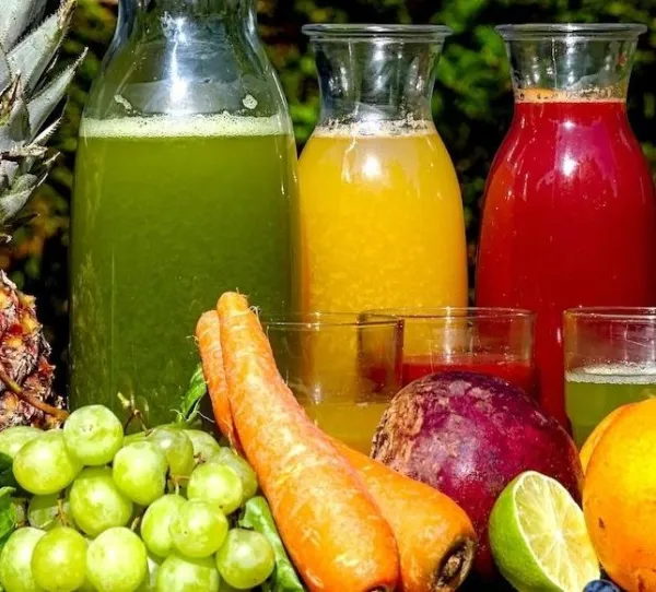 processamento de frutas e legumes