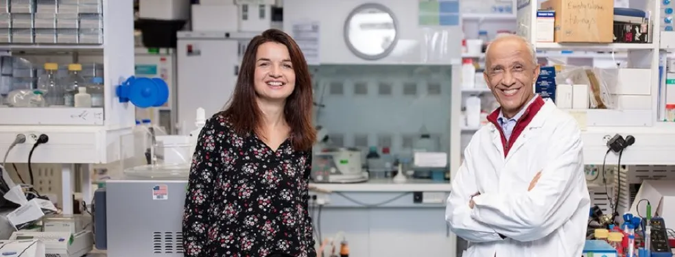 Covid-19 Contribuir para a investigação contra a doença